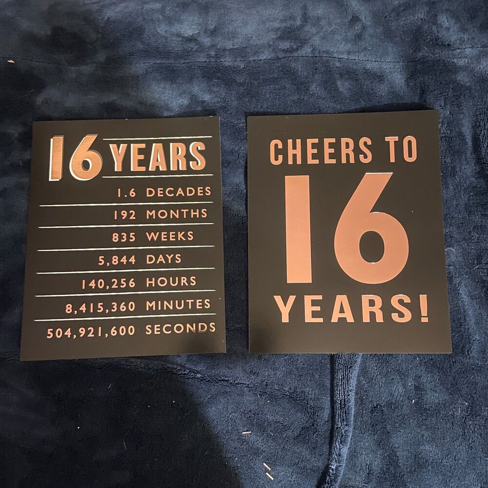 Pink Gold Sweet 16 Birthday Decorations, Pom Poms and Posters Cheers to 16 Years